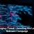 19 Million Android Users Hit By Vicious Malware